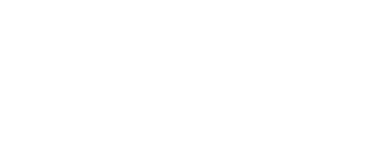 DINH VAN
