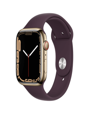 APPLE WATCH SERIES 7 STAINLESS STEEL CASE / SPORT BAND