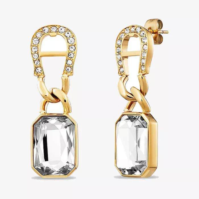 Aigner Fashion Earrings — view 1