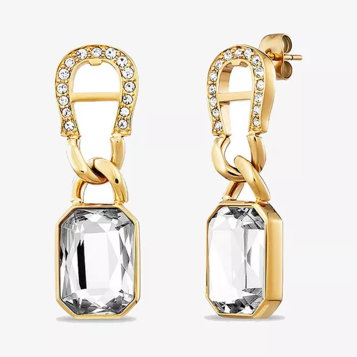Aigner Fashion Earrings — view 1