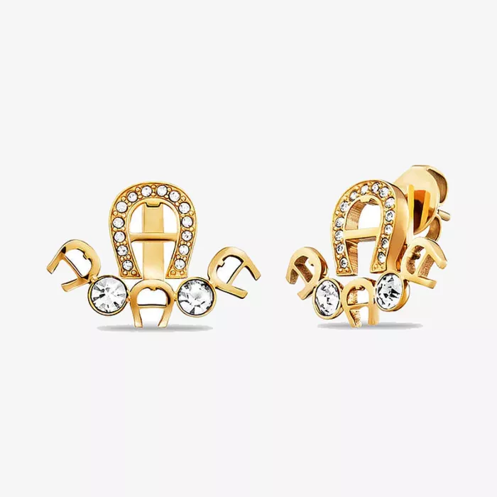 Aigner Fashion Earrings — عرض 1