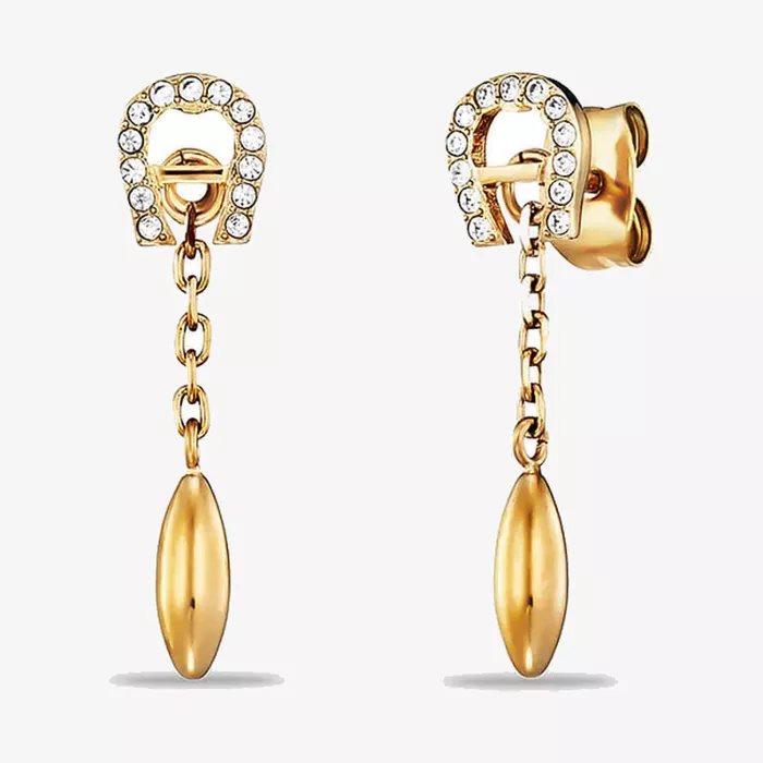 Aigner Fashion Earrings — view 1