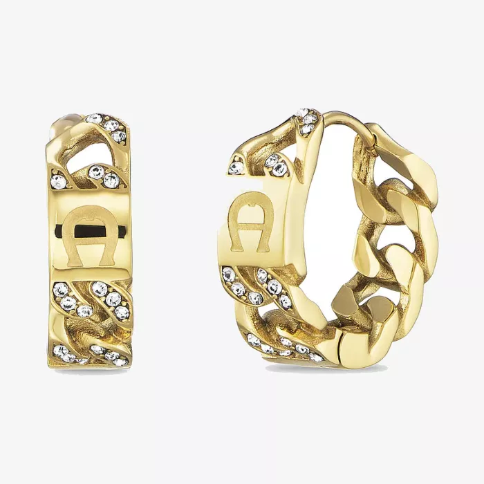 Aigner Cosima Earrings — عرض 1