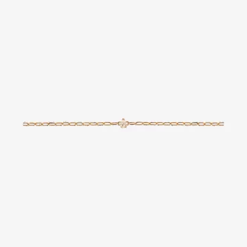 The Carats سوار بيبركليب — عرض 1