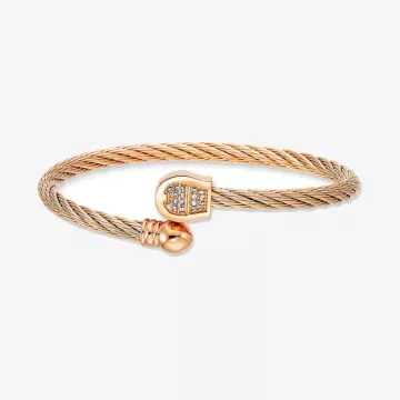 Aigner Fashion Bangle — view 1